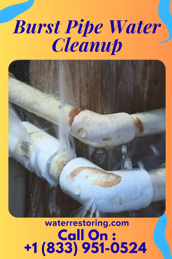 Burst Pipe Water Cleanup in Conway, PA