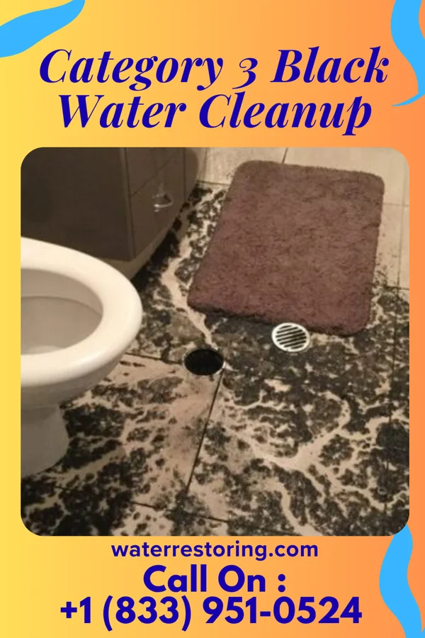 Category 3 Black Water Cleanup in Conway, PA