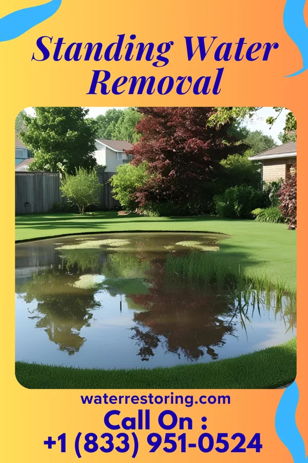 Standing Water Removal in Conway, PA